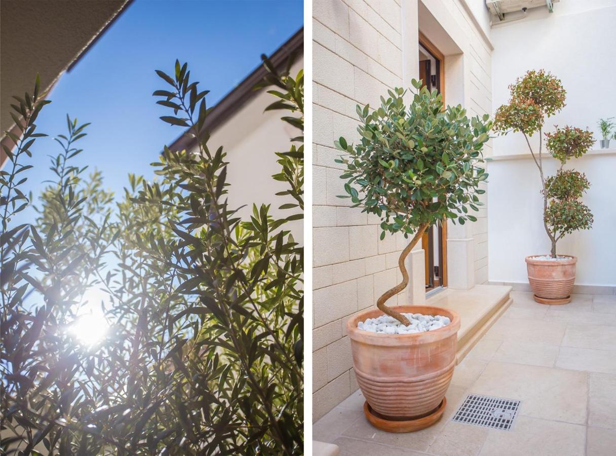 Holiday home Camellia *